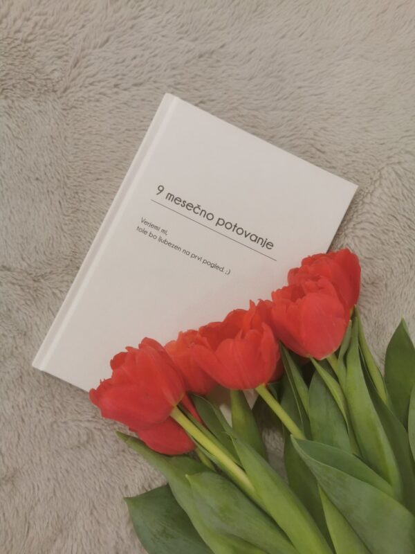 9 mesečno potovanje